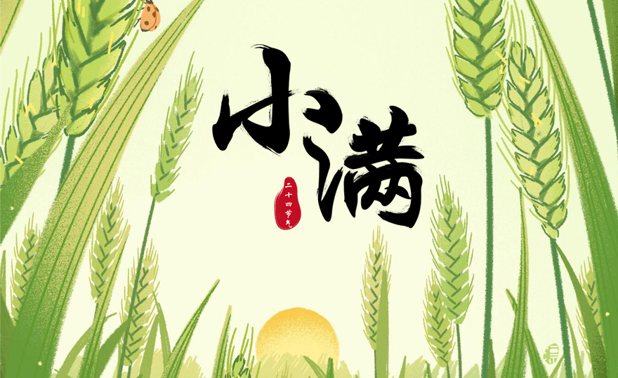 Traditional Chinese solar terms: Today, Xiaoman!